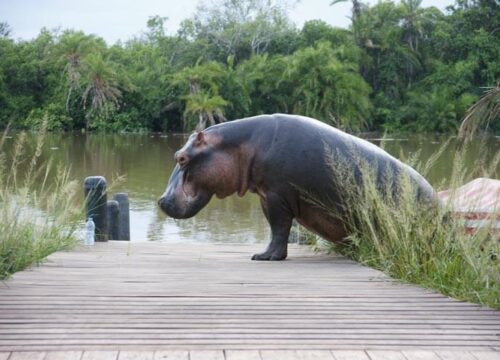 Saadani National Park