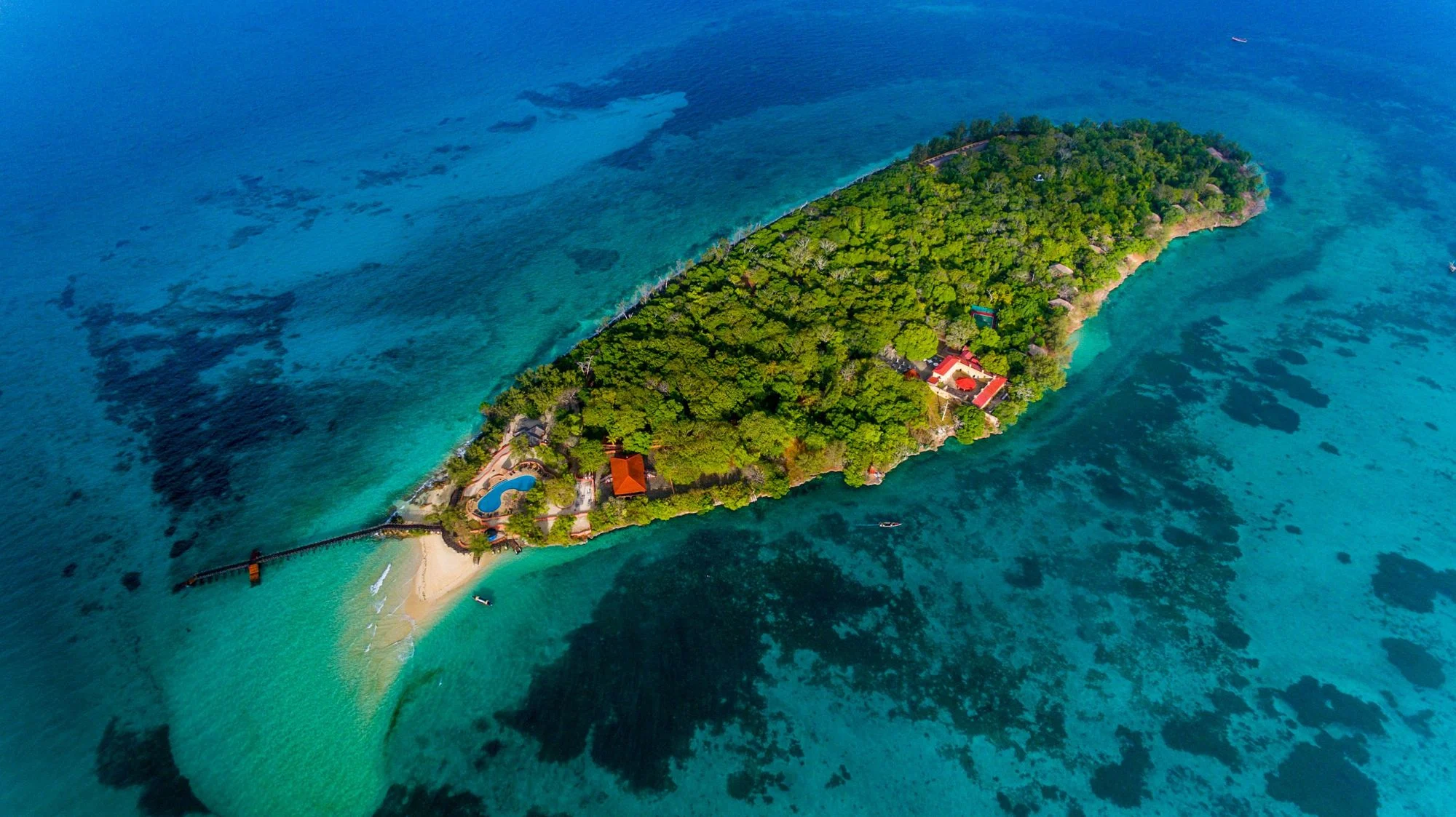 Zanzibar Prison island tour