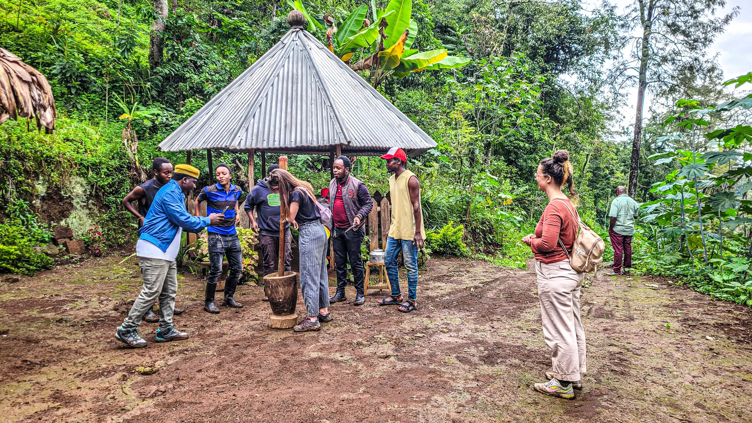 Materuni Coffee Tour